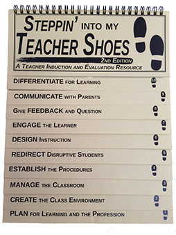 teacher shoes book